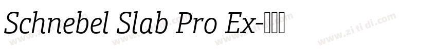 Schnebel Slab Pro Ex字体转换 Schnebel Slab Pro Ex字体转换
